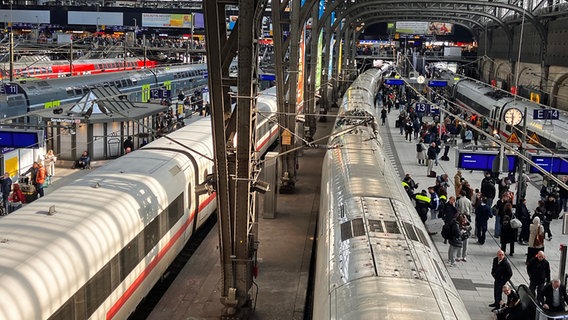 Mehrere Züge stehen an den Bahnsteigen des Hauptbahnhofs in Hamburg. © dpa bildfunk Foto: Thomas Müller