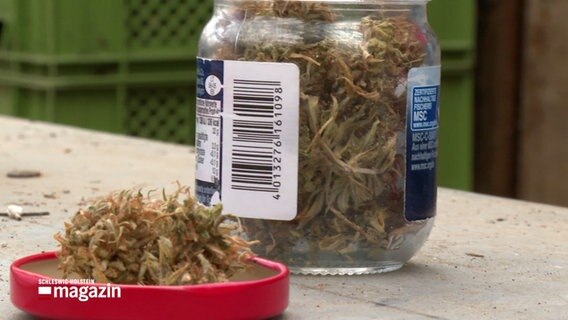 In einem Glas ist eine Cannabispflanze, in dem Deckel des Glases, vor dem Glas liegt eine Knolle der Pflanze © NDR Foto: NDR Screenshot
